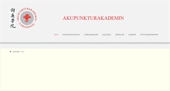 Desktop Screenshot of akupunkturakademin.se
